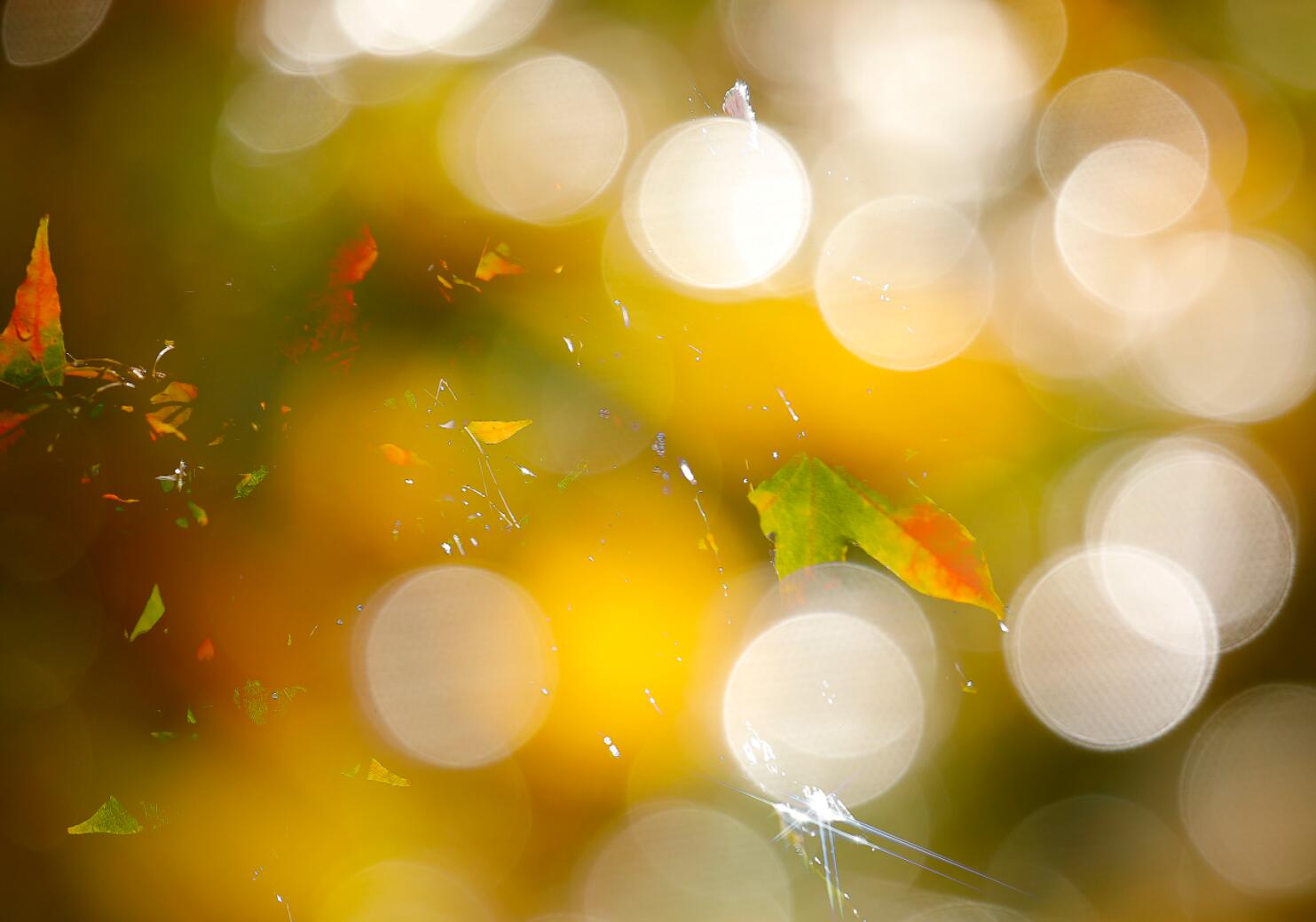 我不是你生命中的匆匆过客