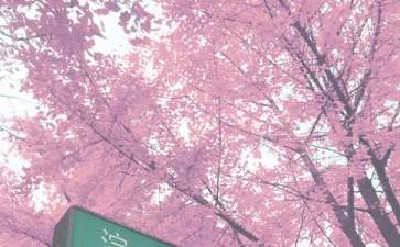 2021年中班秋季学期教学工作计划（通用5篇）