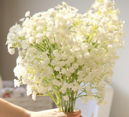 满天星花语 满天星花语