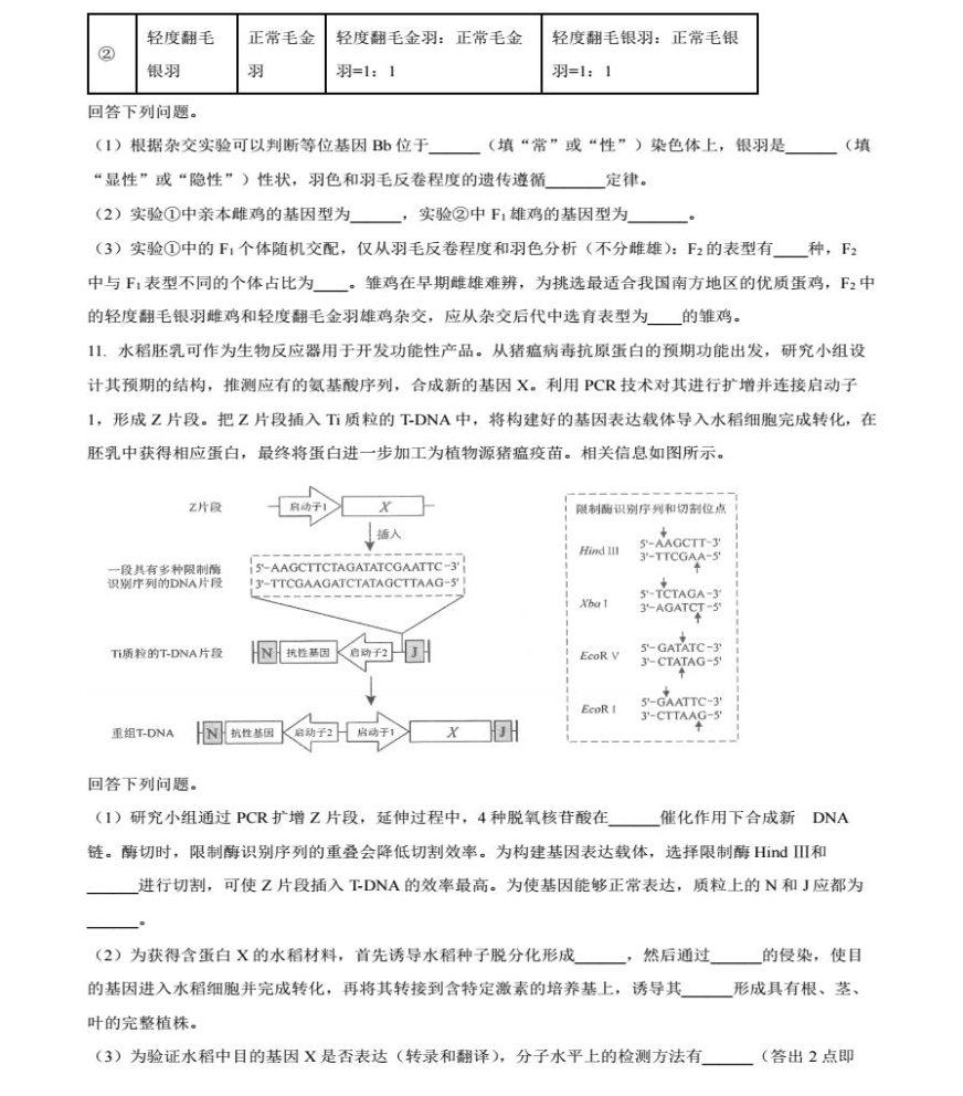 2024年河南九省联考理科综合生物试题及答案