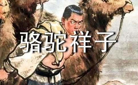 骆驼祥子读后感（精选39篇）