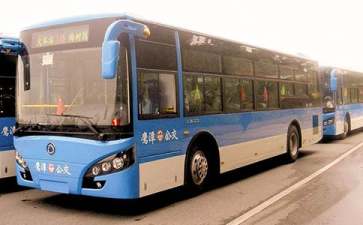 挤公交车800字作文