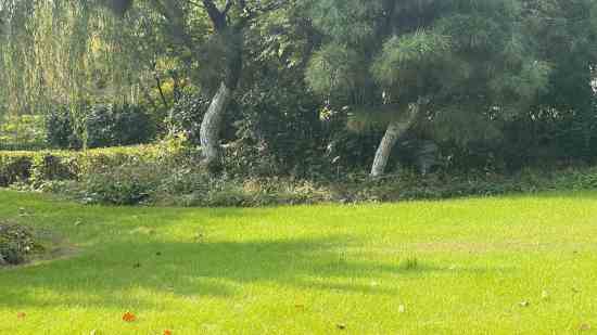 好听有寓意的乌龟取名