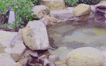 广东省泡温泉哪里好