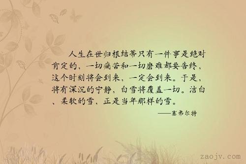 承担一切痛苦优美句子