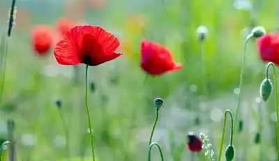 生活总把人逼到死角,可是我们依旧要努力的生存