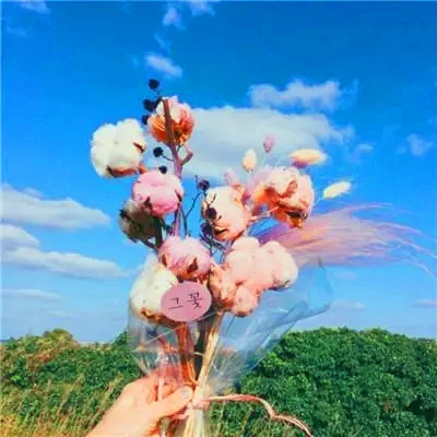 最好运气的微信头像