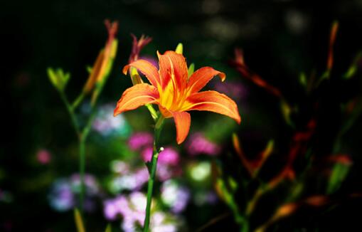 自律,不是一味鸡汤