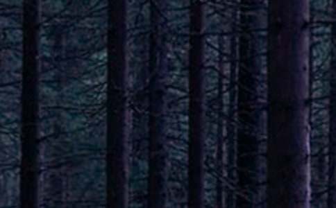 日照海滨国家森林公园攻略