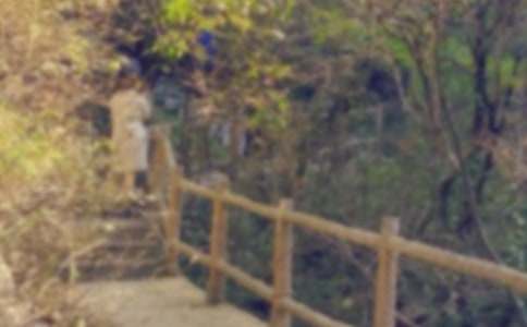 爬山的日记汇编六篇