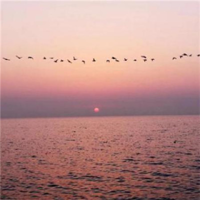 2021最美风景头像