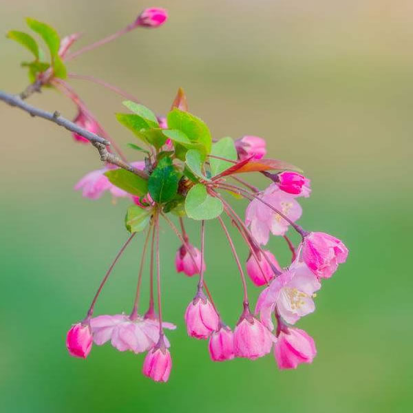 适合做微信头像的照片