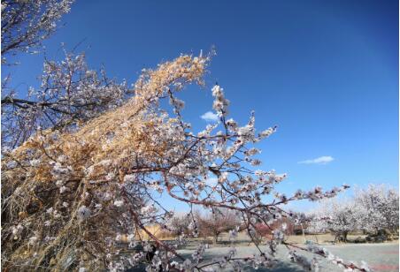 遇见是一种缘分