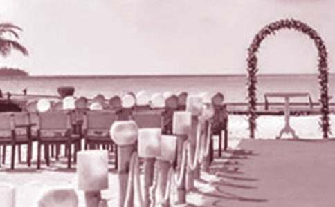 新娘父亲婚礼致辞