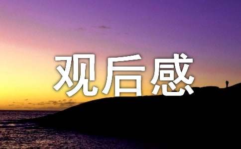 《飞驰人生》观后感4篇