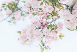 找个理由去原谅