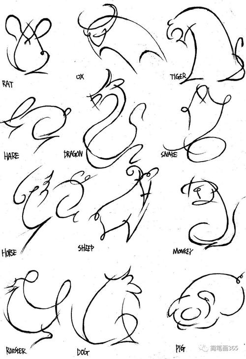 100种动物简笔画步骤图9张3简笔画表白图片网卡通动物和其它