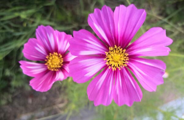 午睡中梦见母亲