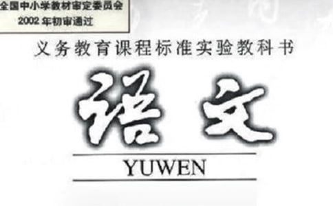 我和语文的故事小学作文