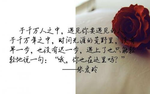 张爱玲语录经典语录人生就像 张爱玲经典语录