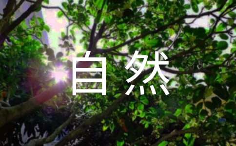 自然灾害应急预案[汇编15篇]