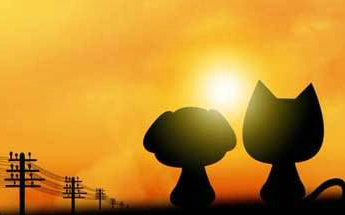 爱情温暖感人的句子