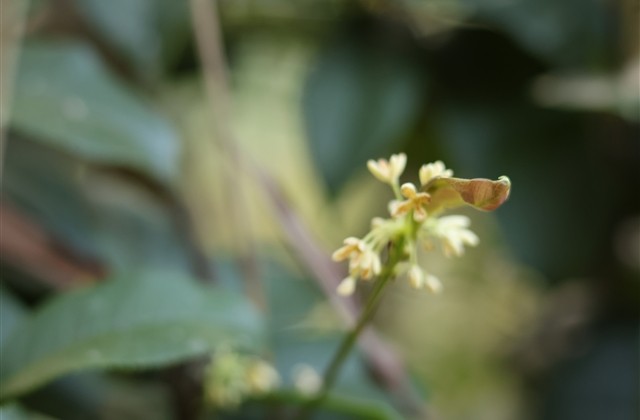 热血传奇霸气行会名字(精选737个)