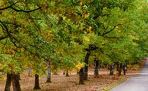 河南风景区旅游景点