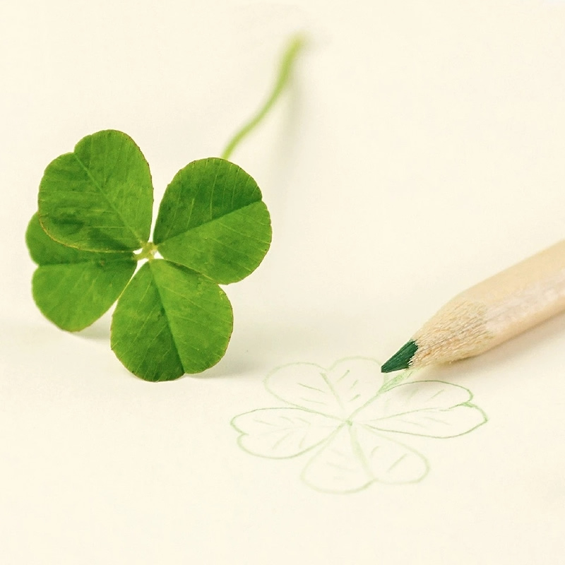 适合做微信头像的照片