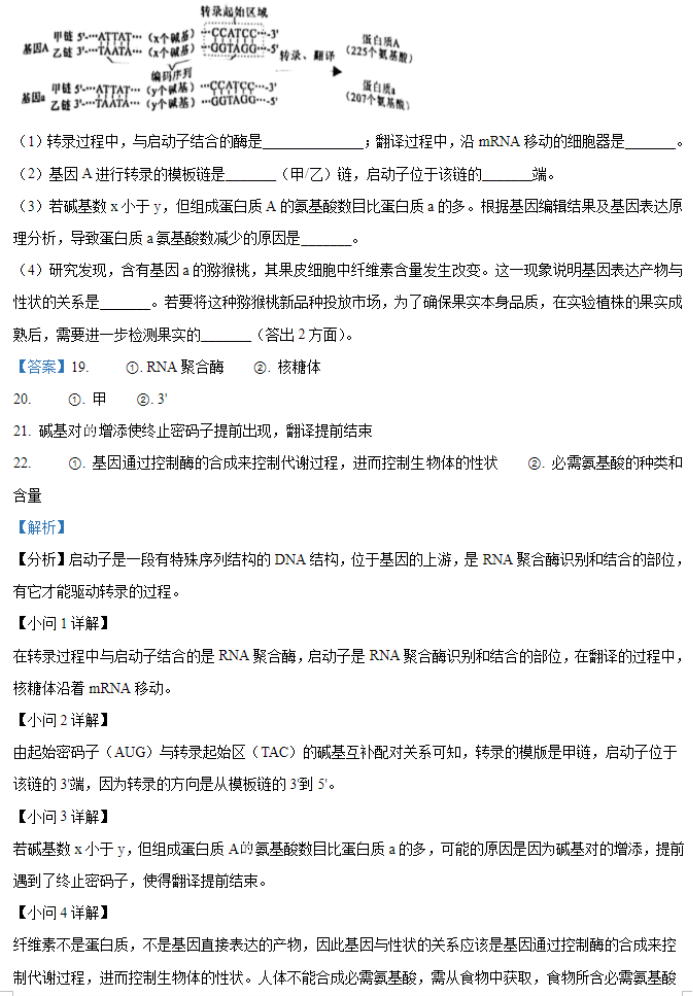 2024广西九省联考理综生物考试答案及试卷