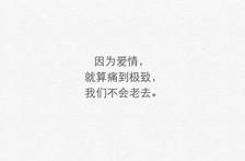 因为爱情经典的句子 表示因为爱情破碎想去死的句子唯美伤感