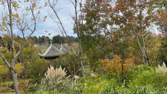 坏坏的游戏名字大全