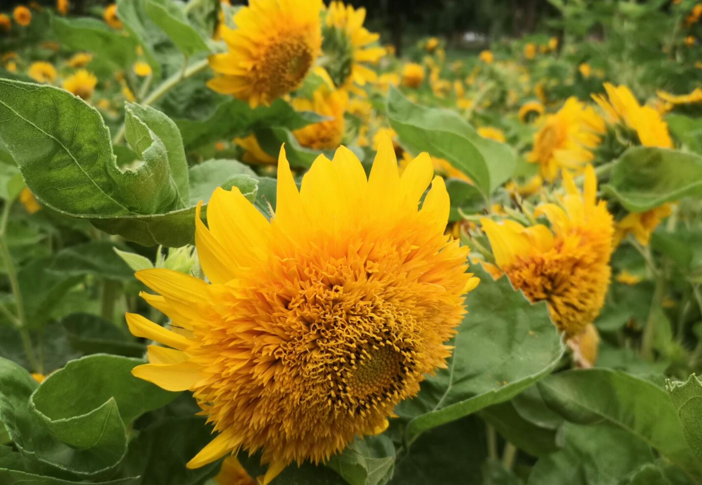 其实你啥也不是