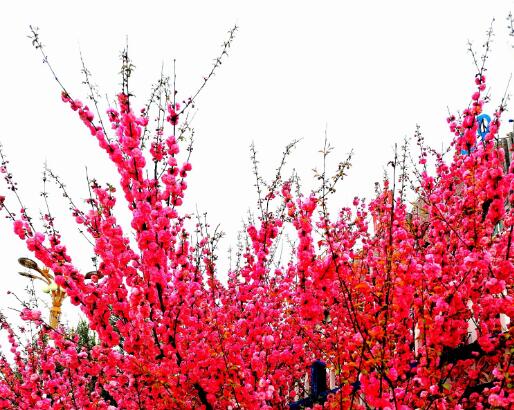 心路宽敞不计较