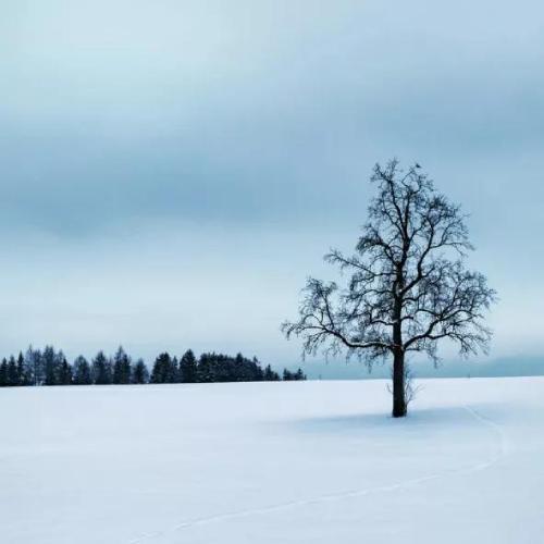 适合长期不换的头像，20张微信头像，各种风格，不重样