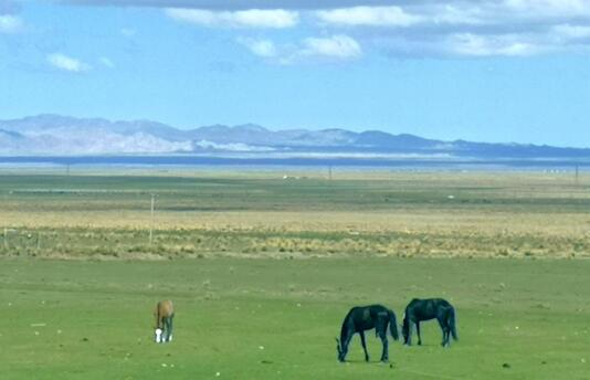 君子之交淡如水