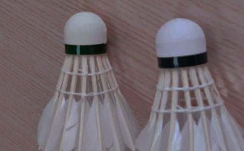 羽毛球初级教程如何入门