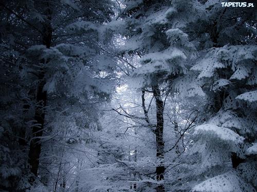 炎热夏天心情语录 写出夏天炎热衬托心情不好的句子五十字左右