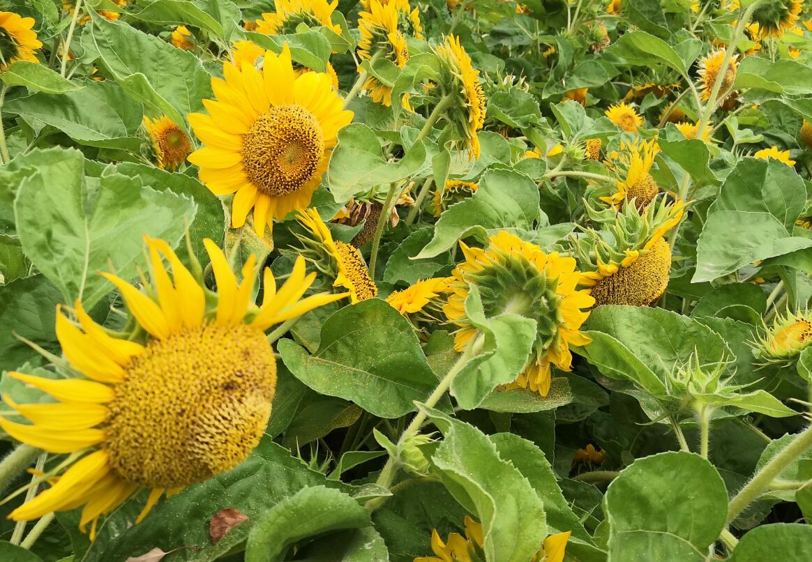 其实你啥也不是