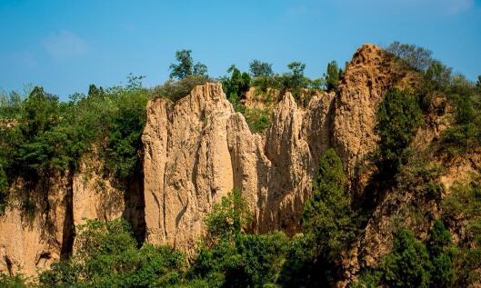 西山往事——土崖上的那对鹁鸽