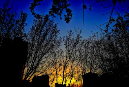 人应该有点野心