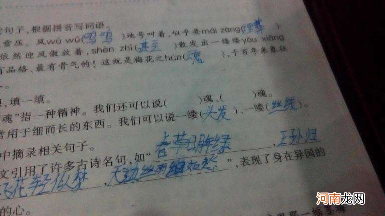 崇怎么组词 崇怎么组词语三年级