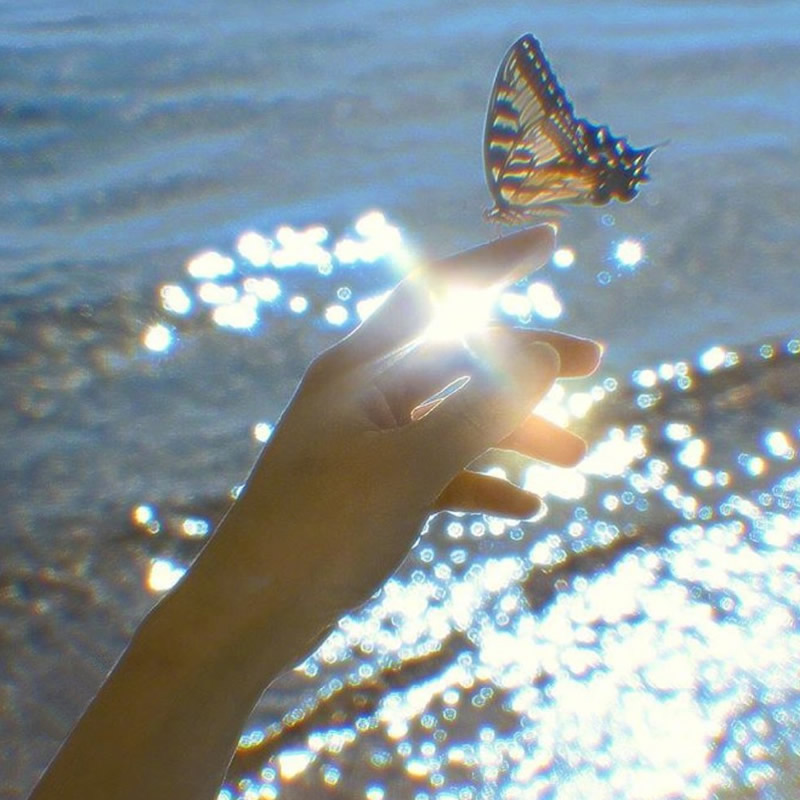 适合做微信头像的照片