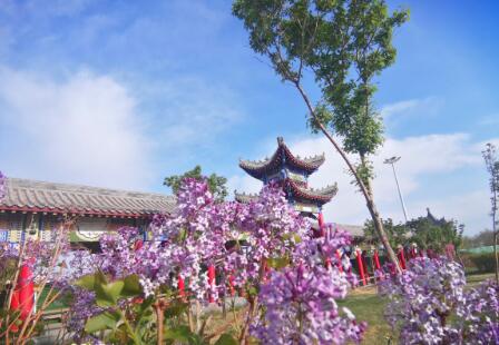 正确处理父母与子女的关系