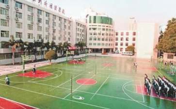 校园欺凌心得体会(精选11篇)