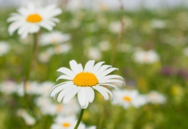 沉默，是一个人最深的境界！