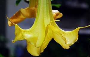 心经全文注音及解释