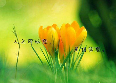 坚持不一定成功，但放弃就一定失败