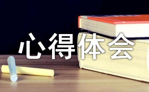 心得体会作文100