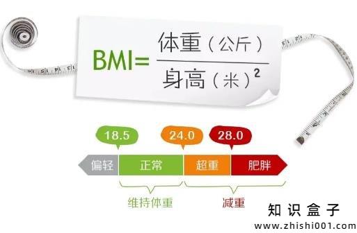 身高标准体重对照表2022,男女标准身材对照表